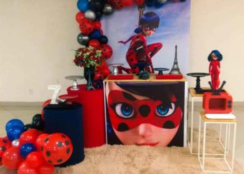 Ladybug decoration: 60+ photos, molds and ideas to make