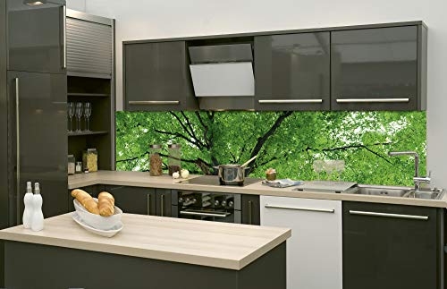 DIMEX LINE Film Autoadhesivo de Cocina Copa del ÁRBOL 260 x 60 cm | Decoración de Cocina