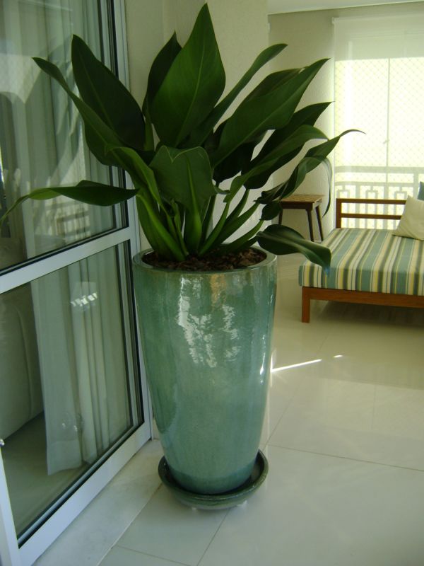 green vase