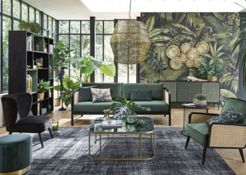 they furnish the house and take care of the planet