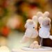 Simple Engagement Decoration: Craft Ideas, Photos