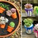 Simple mini-garden of succulents and cactuses: how to make