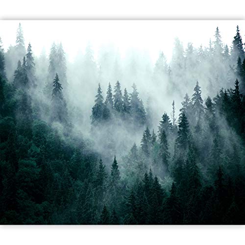 murando Forest Fog Wall Murals 350x256 cm XXL Non-woven Wallpaper Woven Decorative Wall Decor Modern Murals Photographic Design Nature Scandic Landscape cB-0533-ad