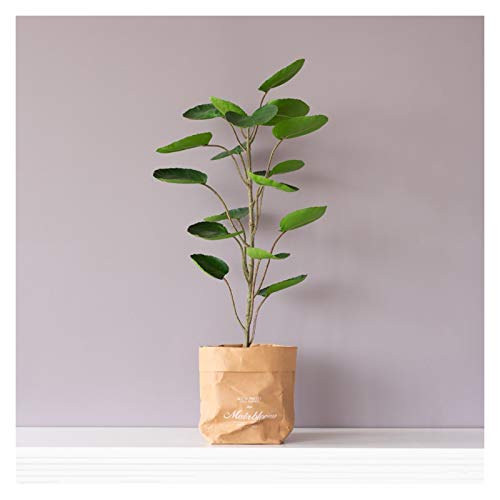 Potted Artificial Plant Artificial Plants Violin Leaf Fig Faux Fake Tree in Kraft Paper Bag Pot for Indoor Decoration 27.6 Inch -1 Pac Fake Plant Decorativ