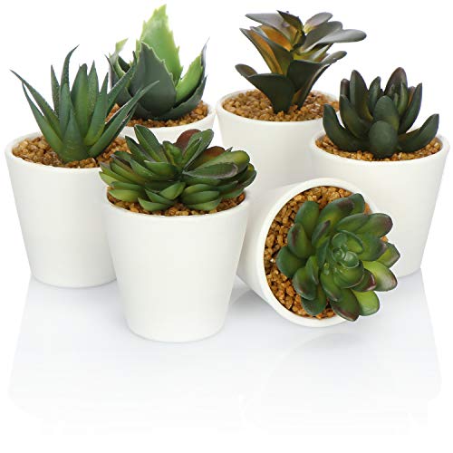 com-four® Artificial Plant 6X - Artificial Plants with White Pot - Artificial succulents - Table decoration - [la selección varía] (06 Pieces - Size S - plastic)