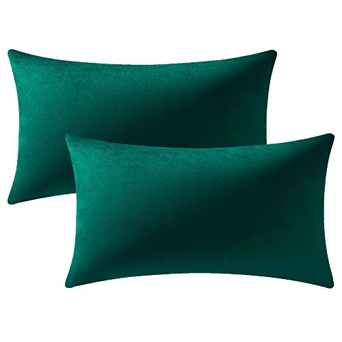 DEZENE Green Sofa Cushion Covers: Pack of 2 30x50cm Soft Velvet Rectangular Pillow Covers for Farm Home Decor