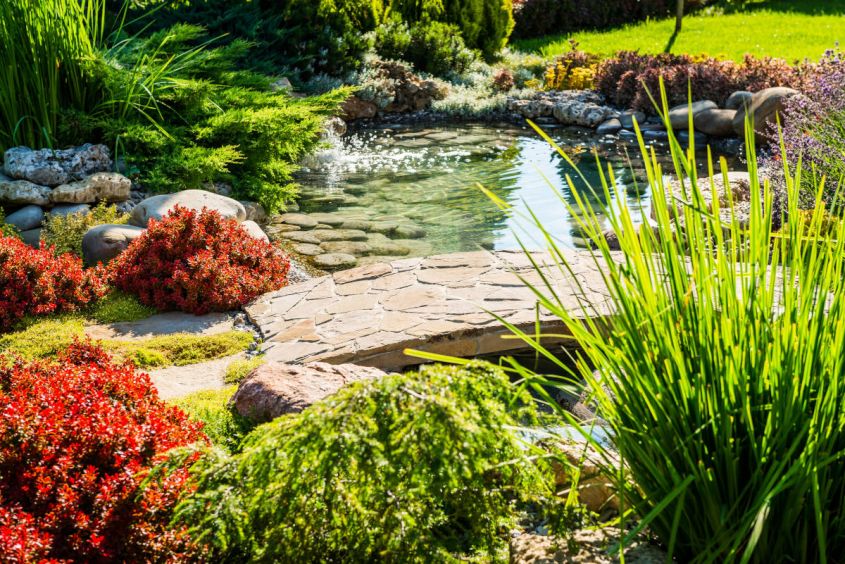 zen garden plants