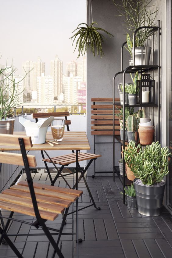 terrace furnished with plants in an economic way