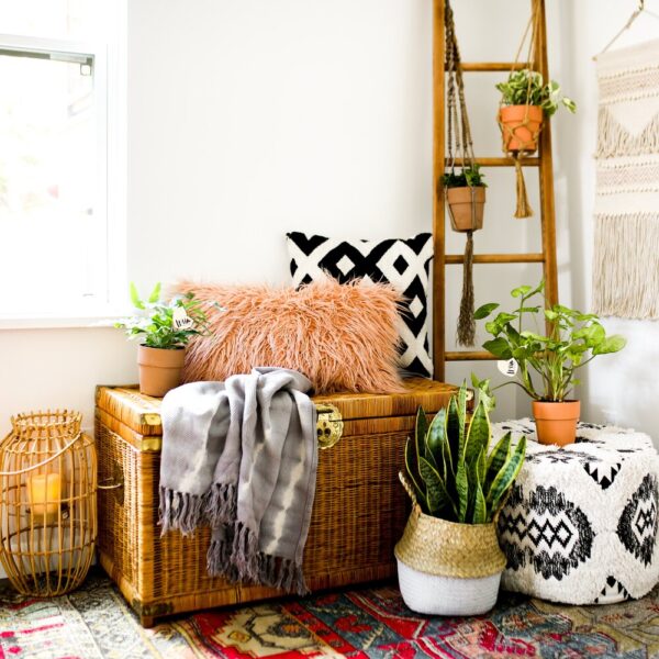 bohemian-style-plants