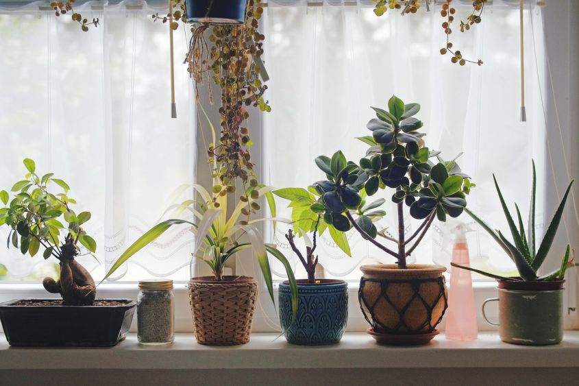 kitchen glass curtains