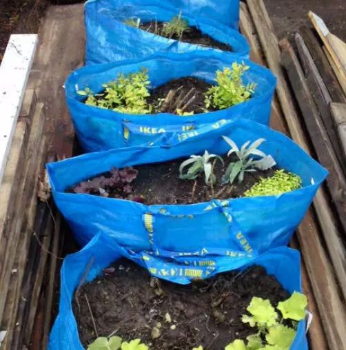 Ikea bags in the garden