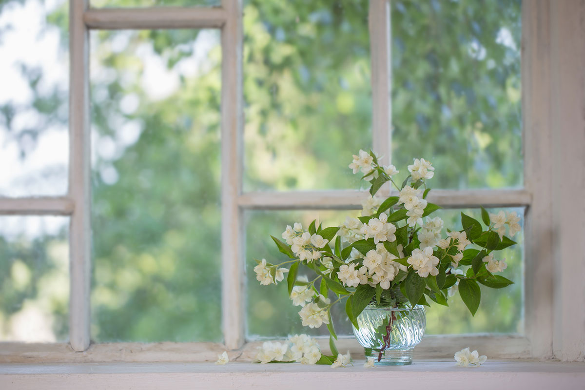 always have a home perfumed with plants