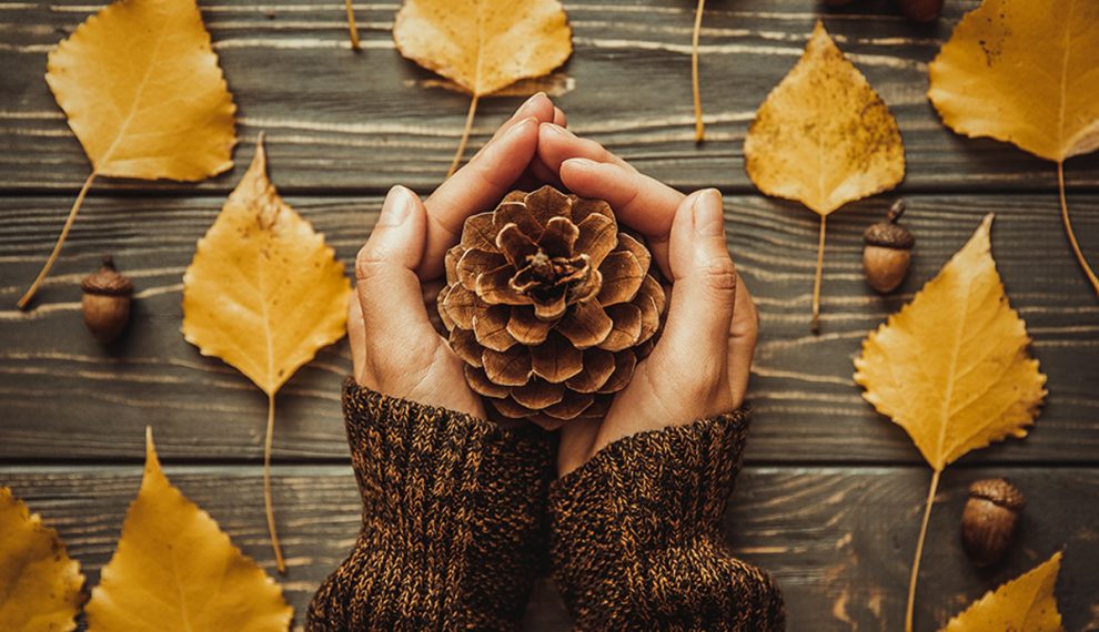 Scent the house with a pine cone.