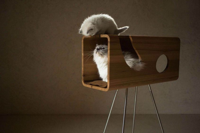 The Pet Home Collection by BrandoDesign