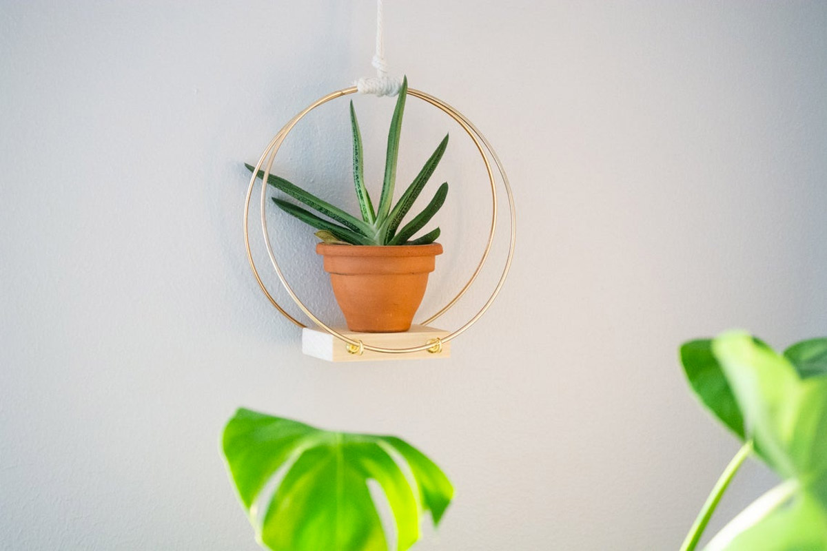 creative ideas for decorating the walls of the house with plants