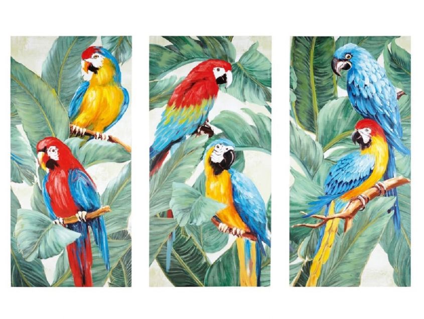 parrots triptych