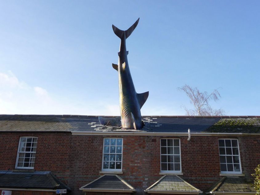 Headington Shark by John Buckley