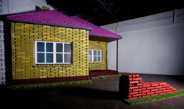 house with egg cartons