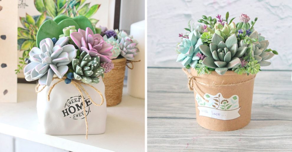 succulent pot for a lovely interior