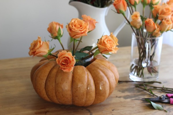 pumpkin-pot holder