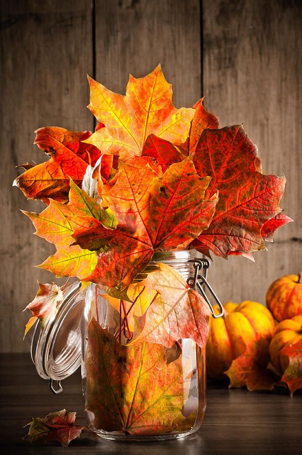 centerpiece-dry-leaves