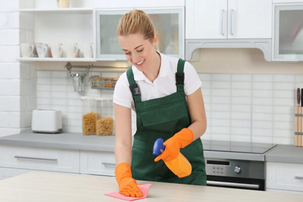 how-to-clean-quartz-kitchen-top-6