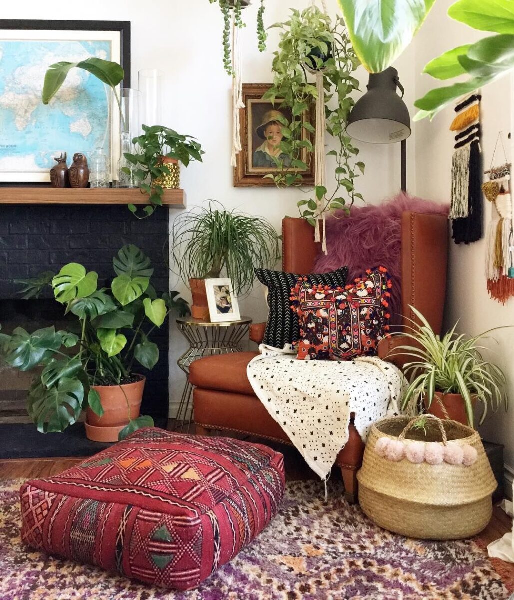 bohemian-style-variety-plants