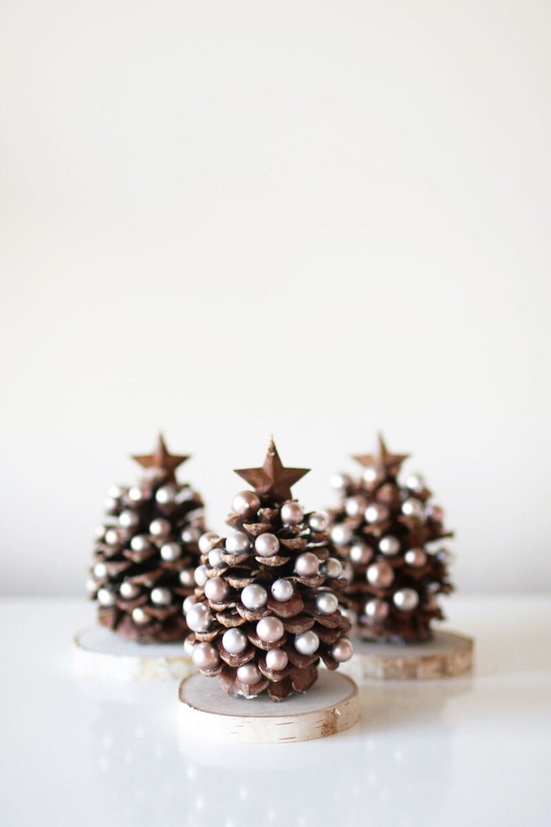 christmas-decorations-with-pine-cones-6