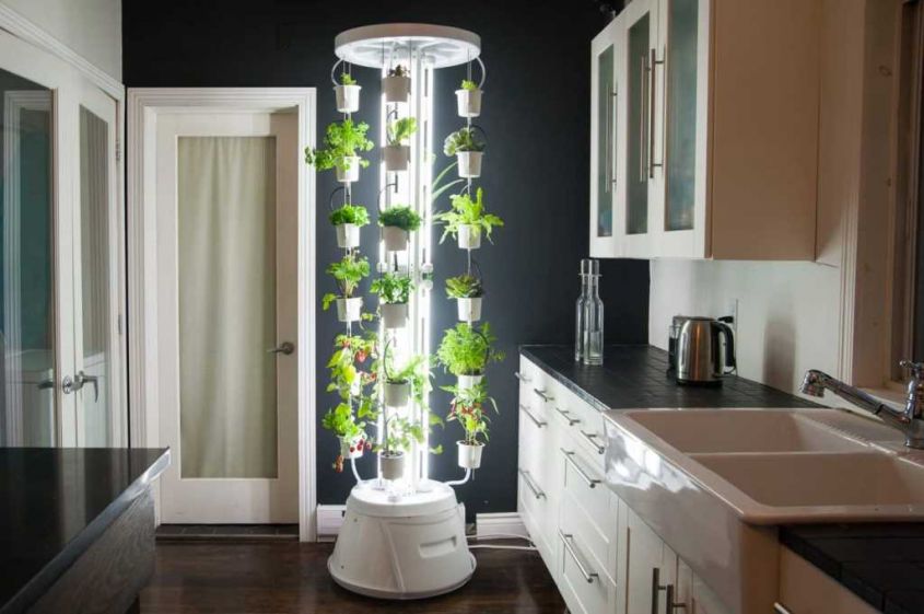 DIY hydroponic garden