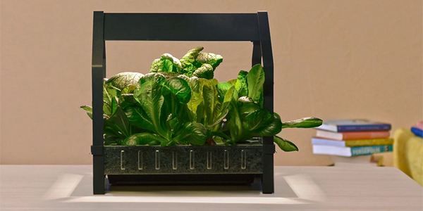 ikea hydroponic garden