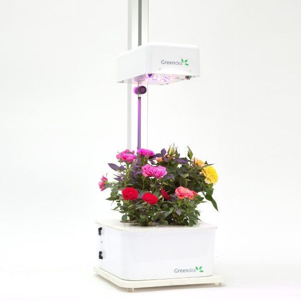 greendea hydroponic garden