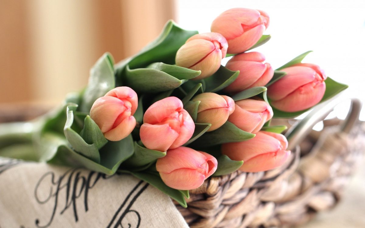 tulips-home-ideas