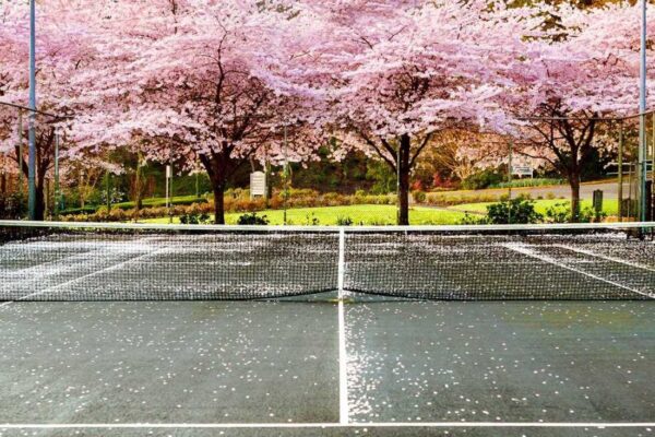 tennis-court-in-garden