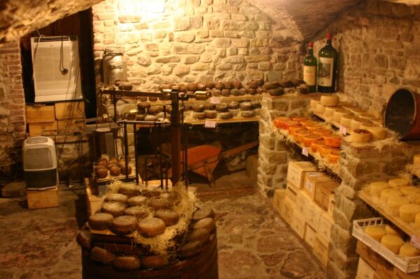 cellar