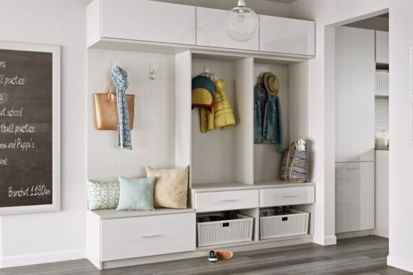 Wardrobe at the entrance: ideas and ideas