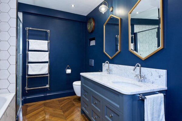 Blue colored bathroom walls