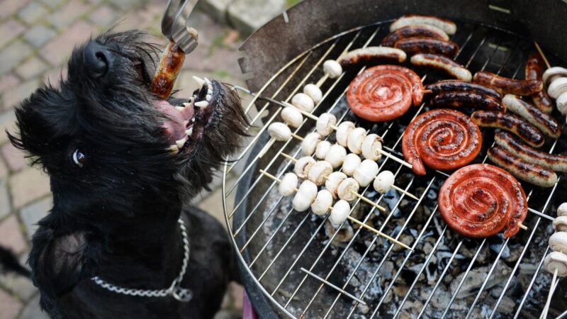 recycle-pots-barbecue