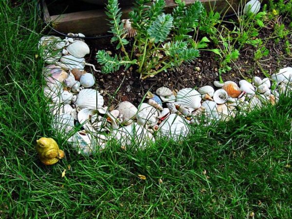 house-shells-garden