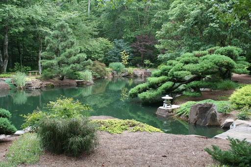 pond-4