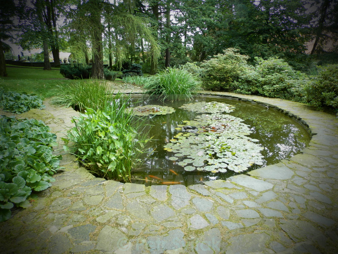 garden-pond