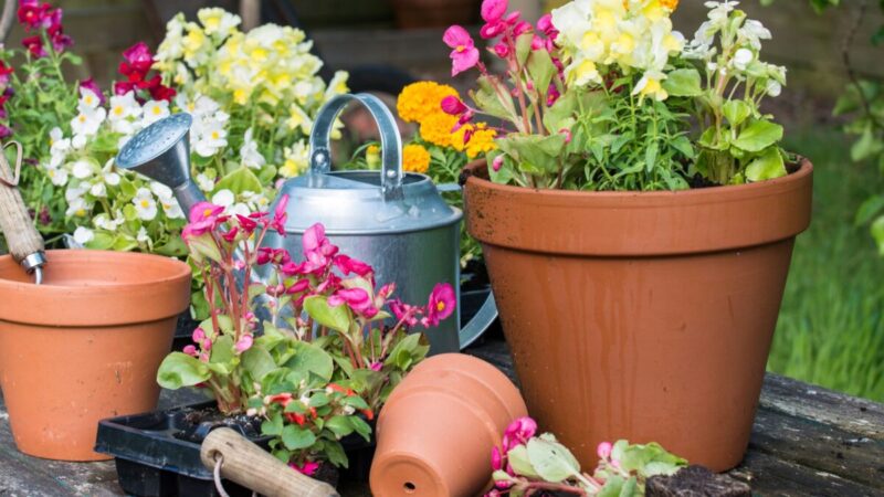 jerrycan-plastic-water-watering can