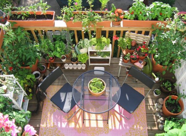 Balcony-vegetables-little-effort-and-a-lot-satisfaction2