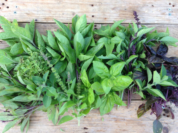 Balcony-vegetables-little-effort-and-a-lot-satisfaction 5