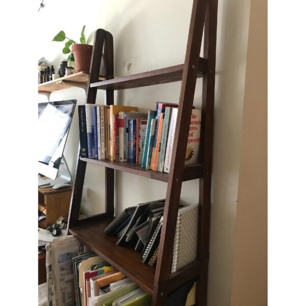 old-ladder-books