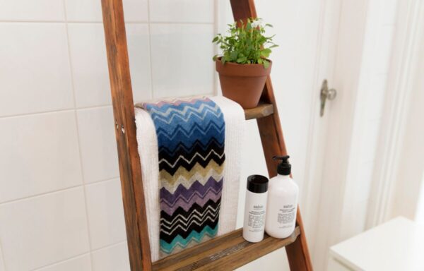 old-ladder-bathroom5