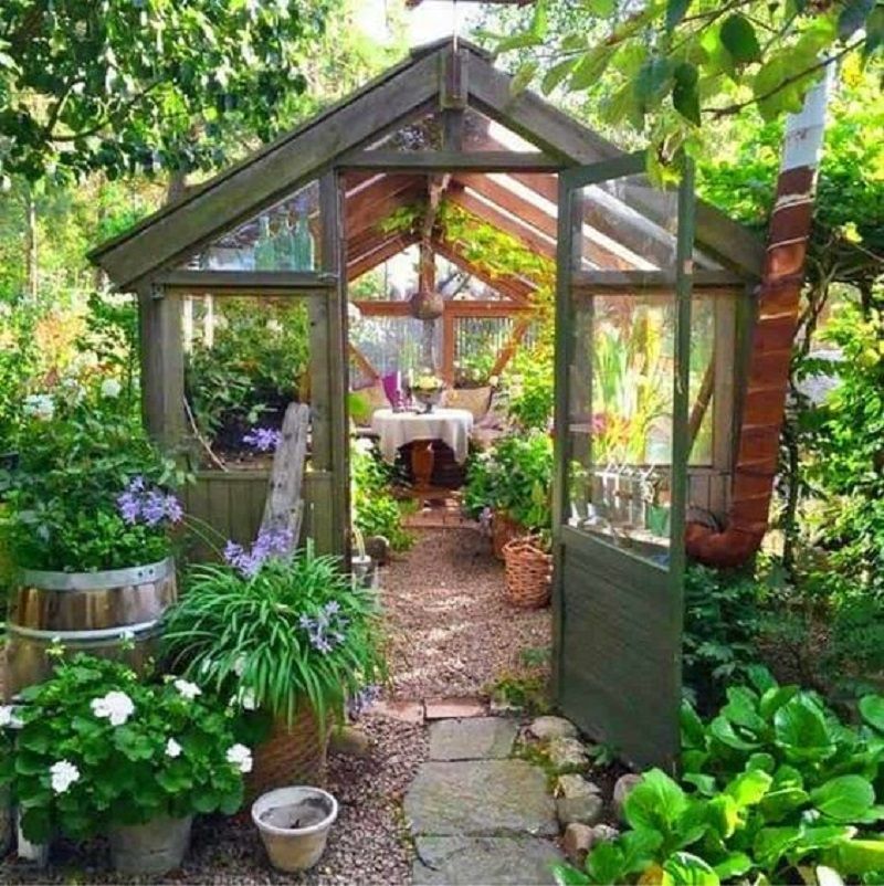 closed veranda ideas plants