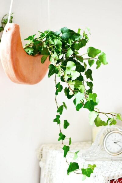 diy-planters-11