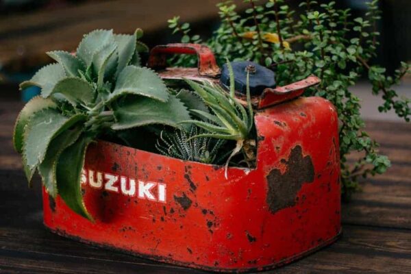 do-it-yourself-planters-13