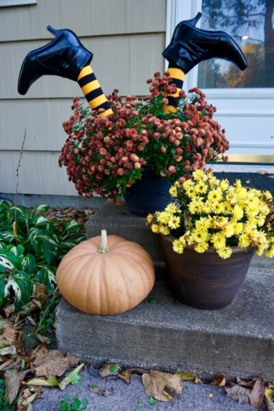 do-it-yourself-pumpkin-planters