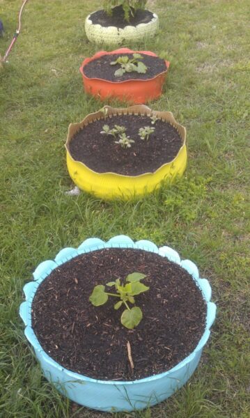 diy-tire-planters